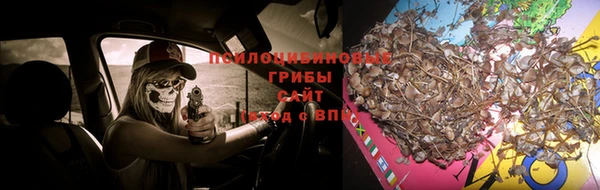 крисы Верхнеуральск