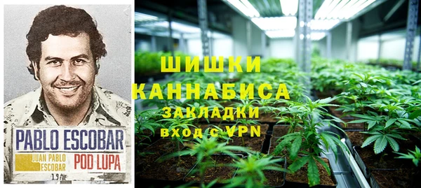 бошки Верхний Тагил