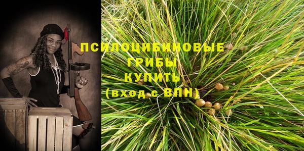 крисы Верхнеуральск