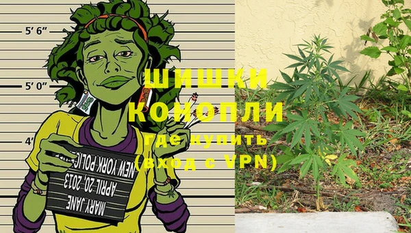 Альфа ПВП Верея