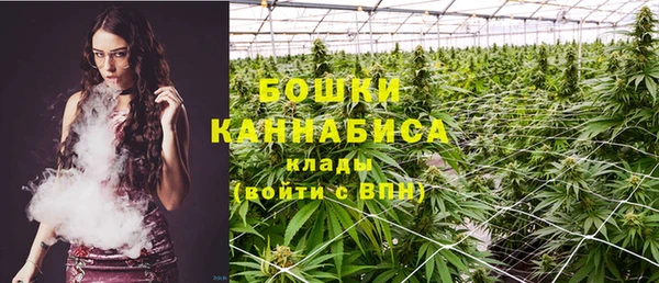 Альфа ПВП Верея